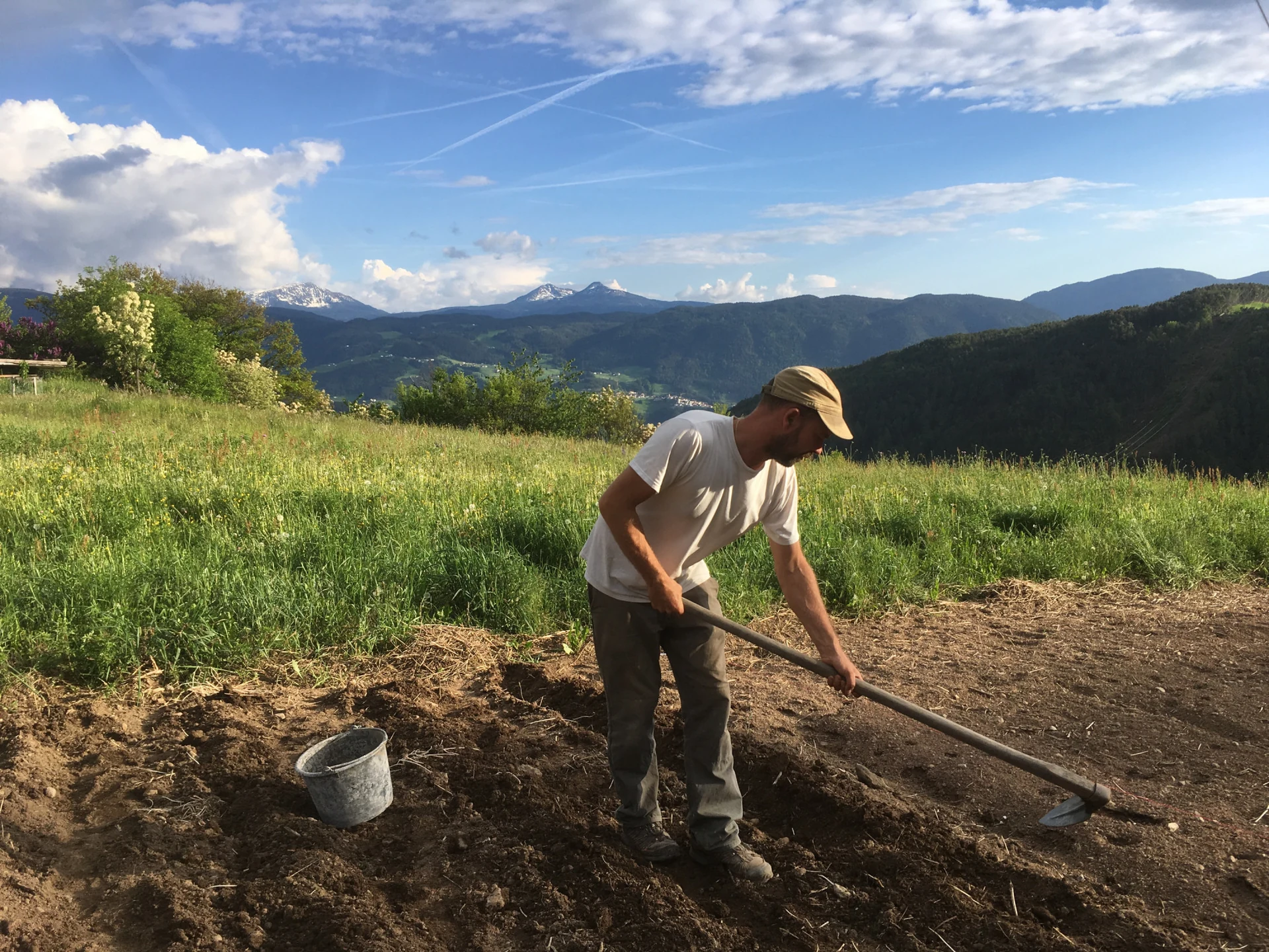 Arbeit im Gemüseacker mit Bergblick